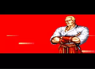 Image n° 1 - screenshots  : Fatal Fury Special