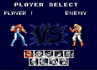 Image n° 4 - screenshots  : Fatal Fury Special