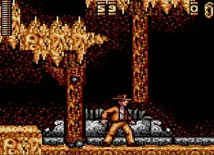 Image n° 3 - screenshots  : Indiana Jones and the Last Crusade