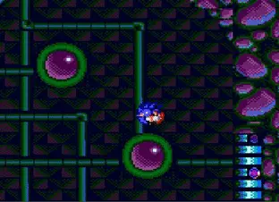 Image n° 5 - screenshots  : Sonic Spinball