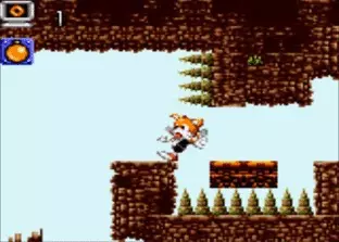 Image n° 3 - screenshots  : Tails Adventures