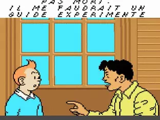 Image n° 5 - screenshots  : Tintin in Tibet