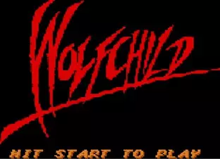 Image n° 3 - screenshots  : Wolfchild