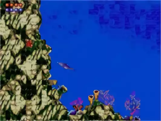 Image n° 10 - screenshots : Ecco the Dolphin