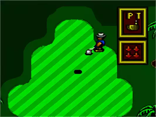 Image n° 4 - screenshots : Super Golf