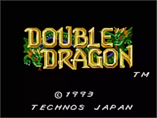 Image n° 4 - titles : Double Dragon