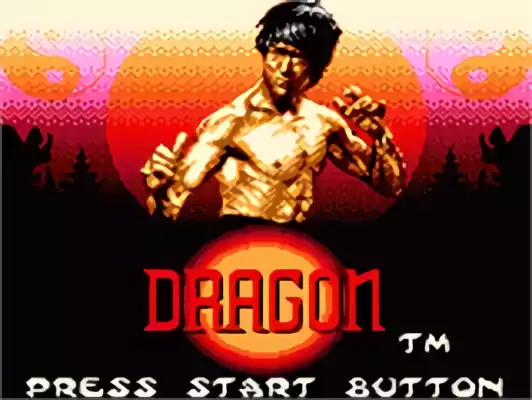 Image n° 10 - titles : Dragon - The Bruce Lee Story