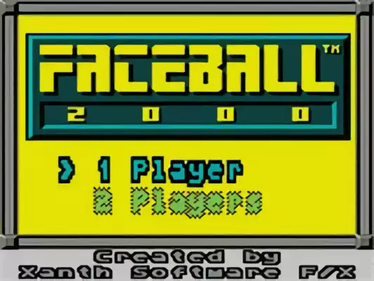 Image n° 10 - titles : Faceball 2000