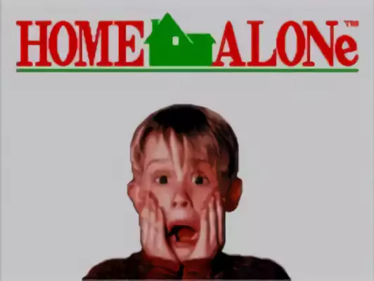 Image n° 10 - titles : Home Alone