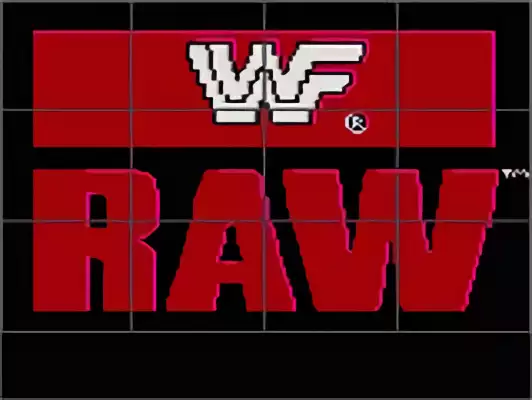 Image n° 4 - titles : WWF Raw