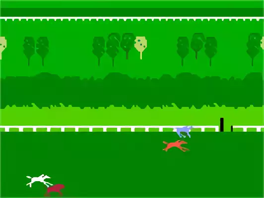 Image n° 4 - screenshots : Horse Racing