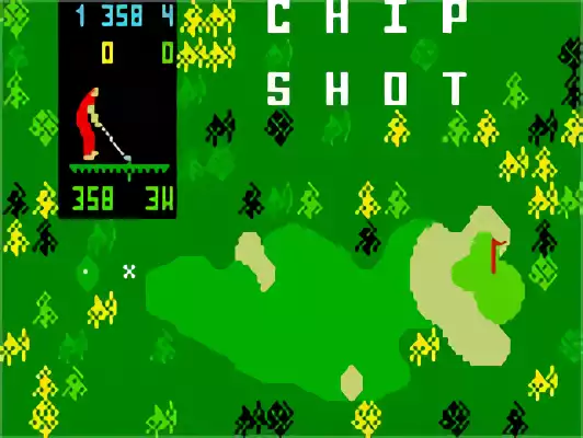 Image n° 5 - titles : Chip Shot - Super Pro Golf