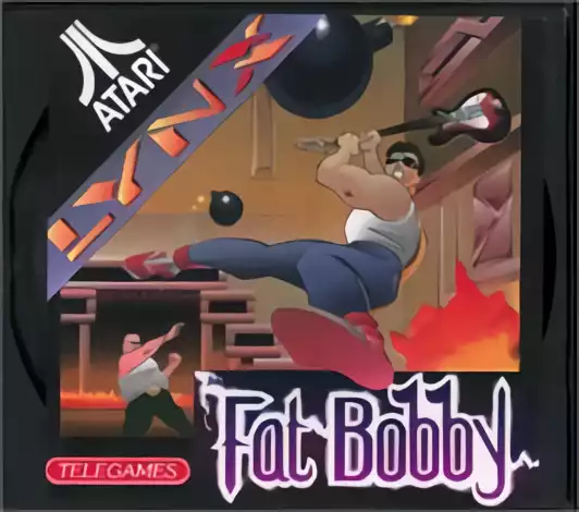 Image n° 1 - box : Fat Bobby
