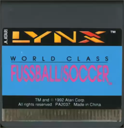 Image n° 3 - carts : World Class Soccer