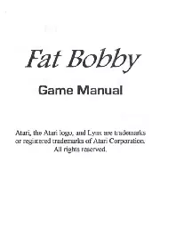manual for Fat Bobby