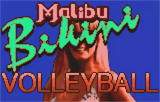 Image n° 11 - titles : Malibu Bikini Volleyball