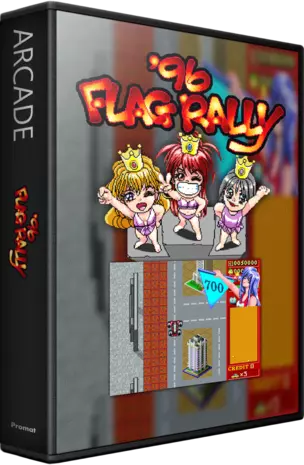 jeu '96 Flag Rally