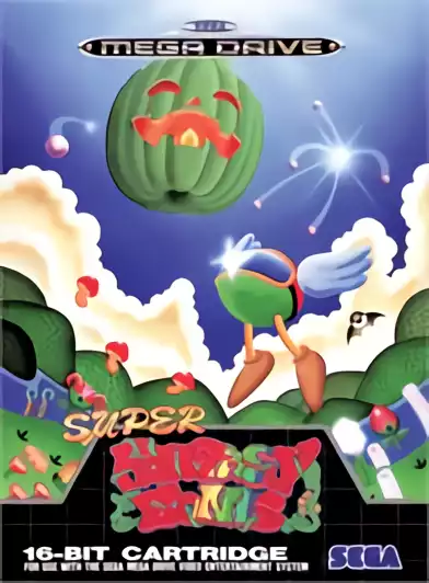 Image n° 1 - box : Super Fantasy Zone