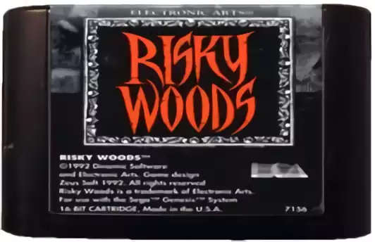 Image n° 2 - carts : Risky Woods