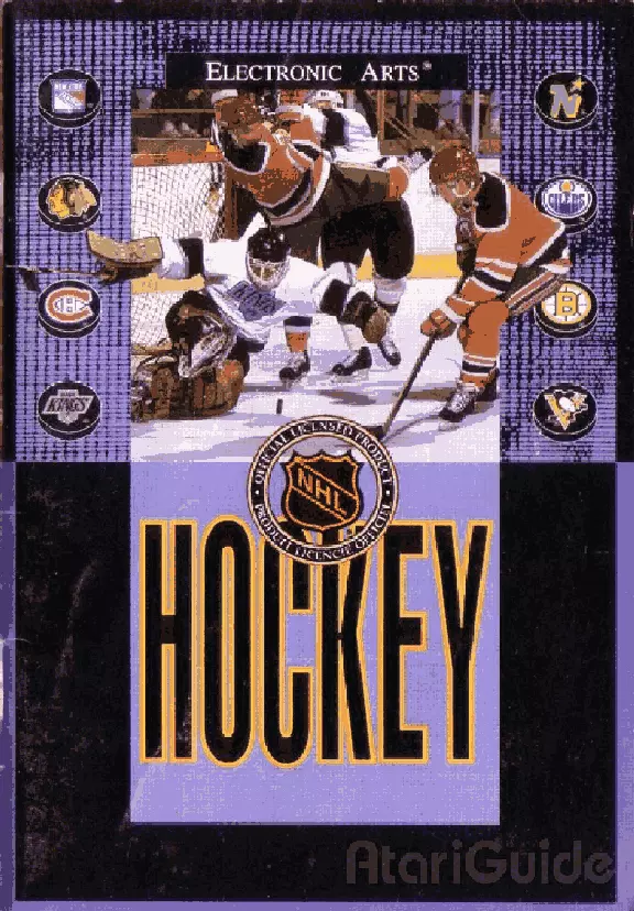 manual for NHLPA Hockey '93