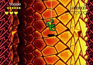 Image n° 7 - screenshots  : Battletoads