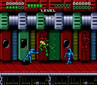 Image n° 2 - screenshots  : Battletoads and Double Dragon