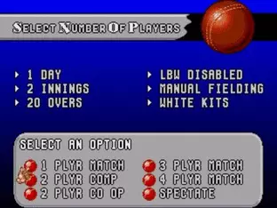 Image n° 3 - screenshots  : Brian Lara Cricket