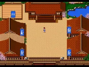 Image n° 7 - screenshots  : Budokan - The Martial Spirit