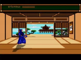 Image n° 5 - screenshots  : Budokan - The Martial Spirit