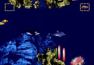 Image n° 7 - screenshots  : ECCO Jr.