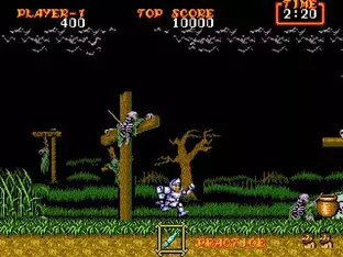 Image n° 5 - screenshots  : Ghouls'n Ghosts