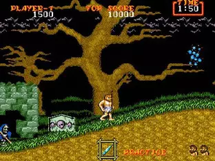 Image n° 4 - screenshots  : Ghouls'n Ghosts