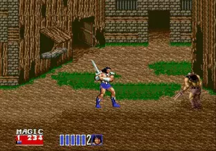 Image n° 7 - screenshots  : Golden Axe II