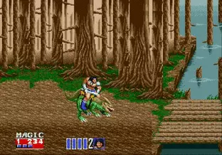 Image n° 5 - screenshots  : Golden Axe II