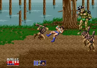 Image n° 4 - screenshots  : Golden Axe II