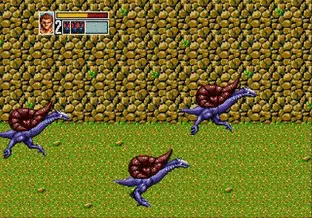 Image n° 8 - screenshots  : Golden Axe III