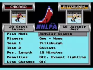 Image n° 8 - screenshots  : NHLPA Hockey '93