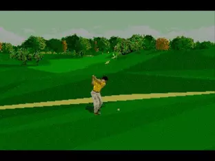 Image n° 7 - screenshots  : PGA Tour 96