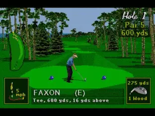 Image n° 4 - screenshots  : PGA Tour 96