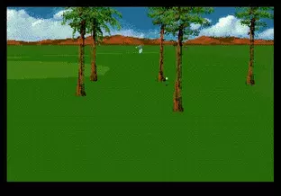 Image n° 5 - screenshots  : PGA Tour Golf III