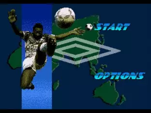 Image n° 2 - screenshots  : Pele's World Tournament Soccer