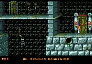 Image n° 6 - screenshots  : Prince of Persia