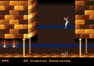Image n° 5 - screenshots  : Prince of Persia