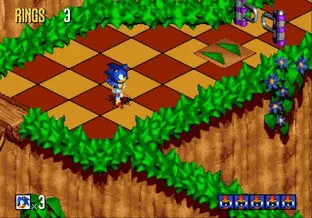 Image n° 7 - screenshots  : Sonic 3D Blast