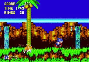 Image n° 6 - screenshots  : Sonic the Hedgehog