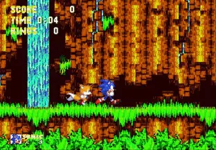 Image n° 8 - screenshots  : Sonic the Hedgehog 3