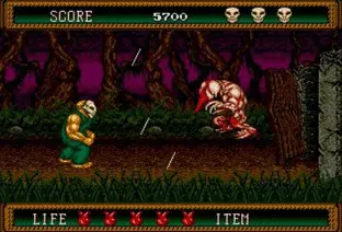 Image n° 4 - screenshots  : Splatterhouse 2