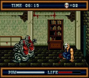 Image n° 6 - screenshots  : Splatterhouse 3