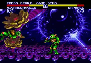 Image n° 7 - screenshots  : Teenage Mutant Ninja Turtles - Tournament Fighters