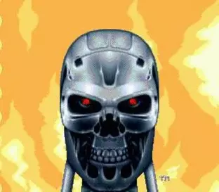 Image n° 7 - screenshots  : Terminator 2 - Judgement Day